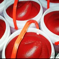 رب گوجه|خوردنی و آشامیدنی|کرج, اصفهانیها|دیوار