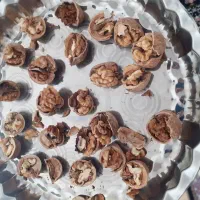 گردوی وهنان|خوردنی و آشامیدنی|بهار, |دیوار