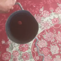 منبه پراید|قطعات یدکی و لوازم جانبی|مینودشت, |دیوار