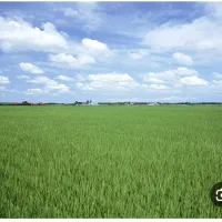 ۲،۵هکتار باغ و زمین با ساختمان