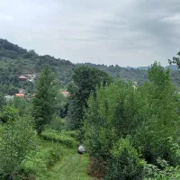 اجاره  ویلای جنگلی زیبا در روستای گردشگری  زمیدان