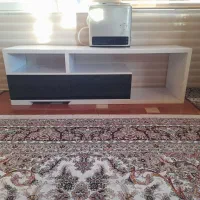 زیر تلویزیونی