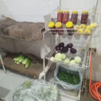 فروش وسایل میوه فروشی|فروشگاه و مغازه|صدرا-فارس, فاز ۲|دیوار