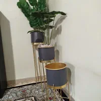 سه عدد گلدان وپایه و دوتا گل