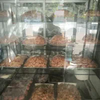 نیروی خانم پاره وقت . صبح