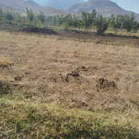 فروش زمین در روستای سیاوش آباد به متراژ ۵۰۰متر|فروش زمین و ملک کلنگی|ازنا, |دیوار