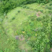 فروش فوری 225 متر زمین باغی معاوضه با خودرو