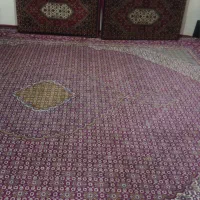 فرش ریز ماهی|فرش|زنجان, |دیوار