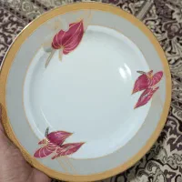 ۶عدد بشقاب گل قرمز ۶عدد بشقاب دور ابی گلدار