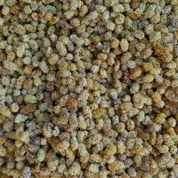 توت خشک امسال|خوردنی و آشامیدنی|تهران, گرگان|دیوار