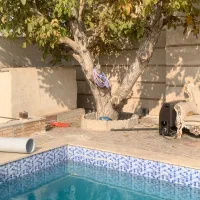 فروش چوب درخت گردو|عمدهفروشی|شهریار, دهشاد بالا|دیوار