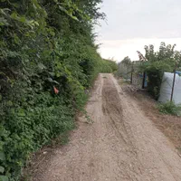 فروش زمین ۵۰۰ متری روستای سعد آباد گرگان|فروش زمین و ملک کلنگی|گرگان, |دیوار