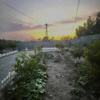 باغچه ۵۰۰متر نزدیک هشتگرد همراه باسوئیت چوبی|فروش زمین و ملک کلنگی|هشتگرد, شهرک پامچال|دیوار