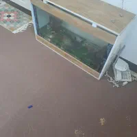 اکواریوم با سنگ وسبزه و صخره