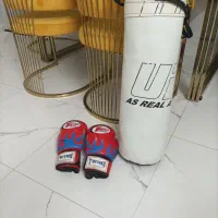 کیسه بوکس ودستکش