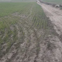 زمین کشاورزی ۲۰۰۰متری زیر فی