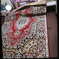 حراج|حراج|بوشهر, |دیوار