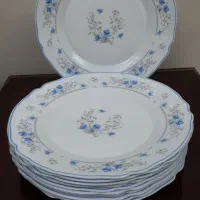 بشقاب پلو خوری