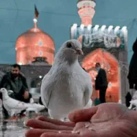 تور مشهد منوره * قشم ریلی * کیش هوایی