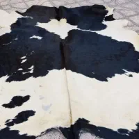 پوست تزیینی گاو|فرش|مشهد, هنرستان|دیوار