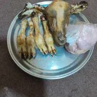 کله پاچه بره