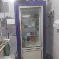 یخچال مغازه دوبرشیشه یادوبر نما