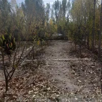 باغ واقع در اخر گلمغان|فروش زمین و ملک کلنگی|اردبیل, |دیوار