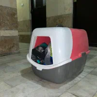 لانه ی  گربه و تونل بازی و ظرف غذای گربه