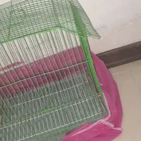 قفس متوسطه