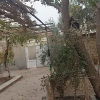 یک باب منزل مسکونی بزرگ جنت اباد|اجارهٔ خانه و ویلا|قنوات, |دیوار