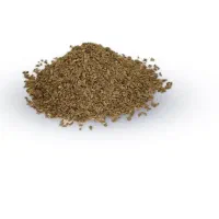 بذر سبزی جات خارجی|گل و گیاه طبیعی|شیراز, آزادگان|دیوار