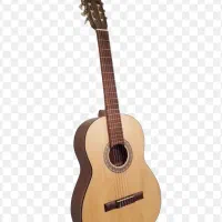 گیتار بنبرگ BG 491M