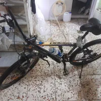 دوچرخه راپیدو|دوچرخه، اسکیت، اسکوتر|گنبد کاووس, |دیوار