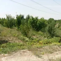 باغ،باغچه ۷۰۰متر جاده آدران شهریار|فروش دفتر صنعتی، کشاورزی، تجاری|صباشهر, |دیوار