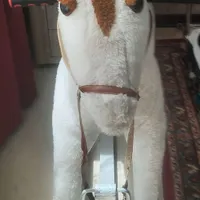اسب آهنی سالم