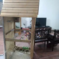 قفس طوطی مرغ عشق و...