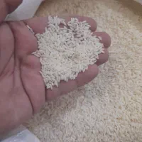 برنج دانه بلند عنبر شمالی خوشپخت درجه یک اعلا
