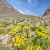 زمین-و-کوهستان