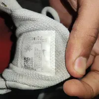 کفش|کیف، کفش، کمربند|بندرعباس, |دیوار