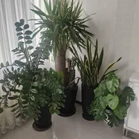 خدمات رسیدگی گل درمحل ۱۵ سال تجربه تعویض خاک گلدان|خدمات باغبانی و درختکاری|تهران, نیاوران|دیوار