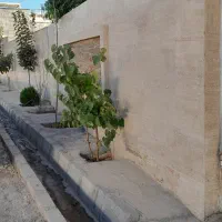 اجاره-3-خواب-شهرک-شهرداری