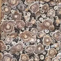 پارچه چادری و چادر|لباس|شیراز, شهرک ولیعصر|دیوار