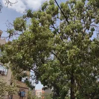 خانه-ویلایی65متری-داخل-کوچه-همکف