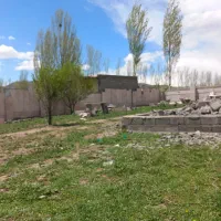 برشکار