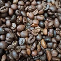 واگذاری کارگاه رست قهوه