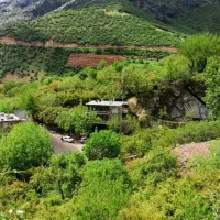 زمین-350متری-باسندتک-برگ
