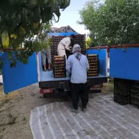 حمل بار به سطح کشور.نیسان خاور 4تن (قیمت مناسب)|خدمات حمل و نقل|کرمان, |دیوار