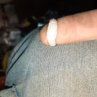 سلام‌انگشترنقره|جواهرات|بهار, |دیوار