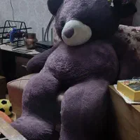 خرس پشمالو