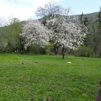 زمین ییلاقی ۴۲۰۰متر رضوانشهر|فروش زمین و ملک کلنگی|رضوانشهر, |دیوار